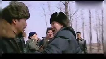 打黑在线观看,在线揭秘网络打黑行动  第2张